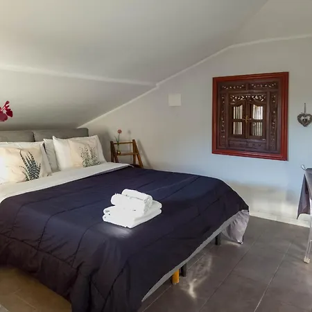 Nest Guest house 3*