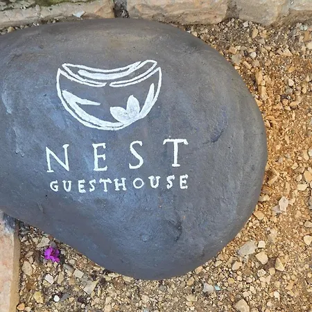 Nest