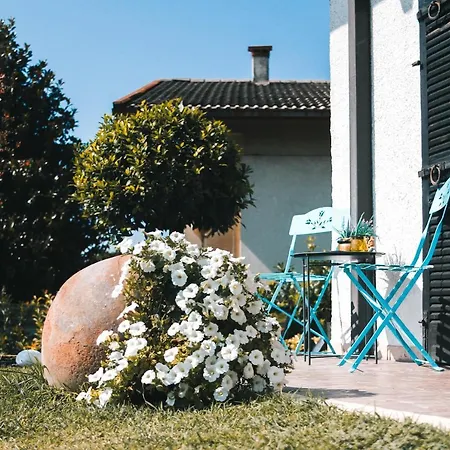 Nest Affittacamere